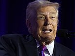 trump-confesses-melania-cannot-understand-8-letter-word-that-was-his-political-albatross
