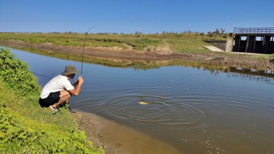licencia-de-pesca:-paso-a-paso-como-tramitar-el-permiso-en-cada-provincia