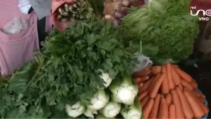 bajan-los-precios-de-verduras-y-otros-productos-en-mercados.