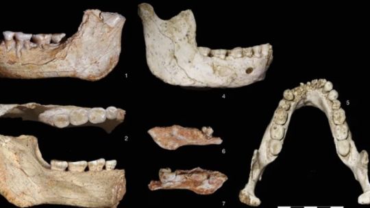 encuentran-restos-fosiles-que-reescriben-los-origenes-del-homo-sapiens