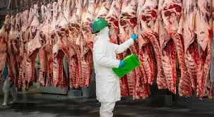denuncian-irregularidades-en-certificados-de-exportacion-de-carne