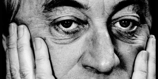 cees-nooteboom,-grand-ecrivain-neerlandais-mu-par-un-gout-insaciable-pour-l’ailleurs,-est-mort