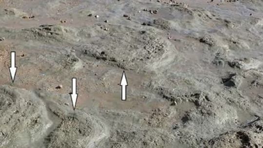 hallan-huellas-de-dinosaurios-de-132-millones-de-anos-en-sudafrica