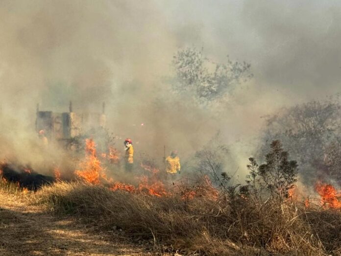 gobierno-de-ecuador-aseguro-que-incendios-en-guayaquil-son-provocados-por-estructuras-criminales