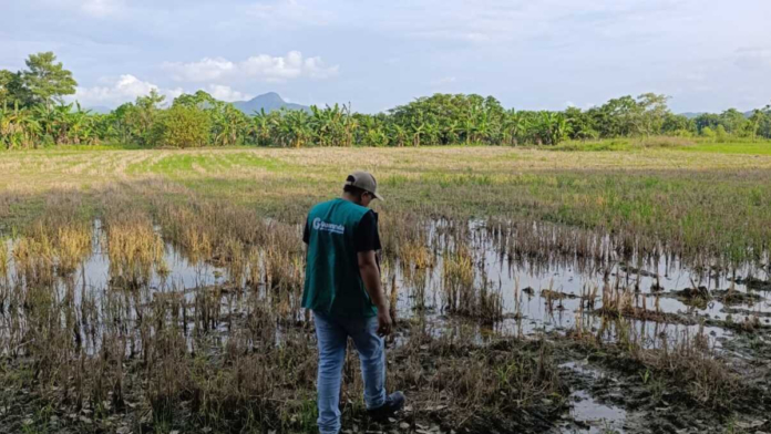 ¿que-papel-juega-el-gobierno?-|-tras-cuatro-anos-de-inundaciones-en-sucre,-¿cuales-son-las-decisiones-que-han-prolongado-la-crisis-en-la-mojana?