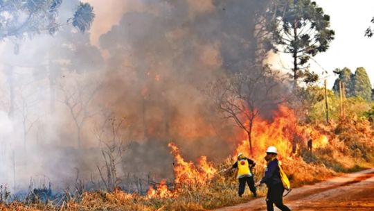 detectan-y-controlan-a-tiempo-un-incendio-en-la-selva-paranaense-gracias-a-tecnologia-argentina