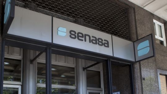 argentina-detecta-brote-de-gripe-aviar-y-suspende-exportaciones
