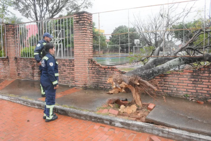 santa-cruz:-lluvias-dejan-arboles-caidos-y-leves-crecidas-en-los-rios