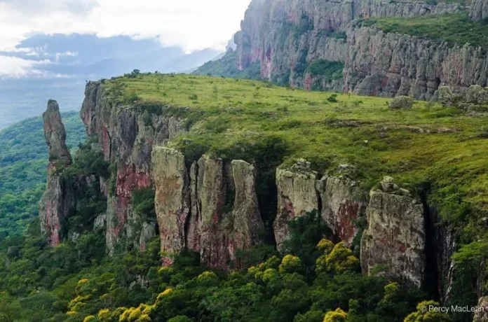 la-ucpn-valle-tucabaca-obtiene-certificacion-internacional-de-la-fsc