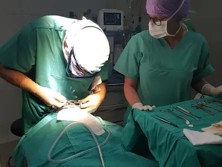 este-domingo-seleccionan-a-pacientes-para-cirugias-gratuitas