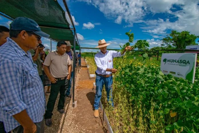 anapo:-“importacion-de-soja-no-justifica-reduccion-en-el-precio”