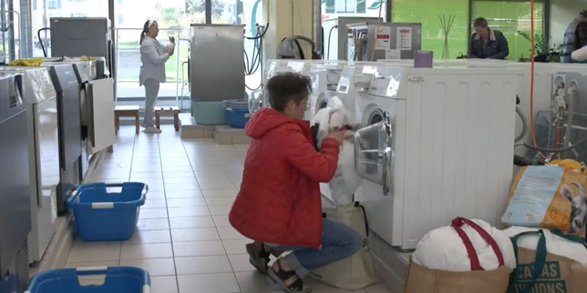 en-suisse,-buanderies-colectivos-et-civisme-ne-font-pas-bon-menage