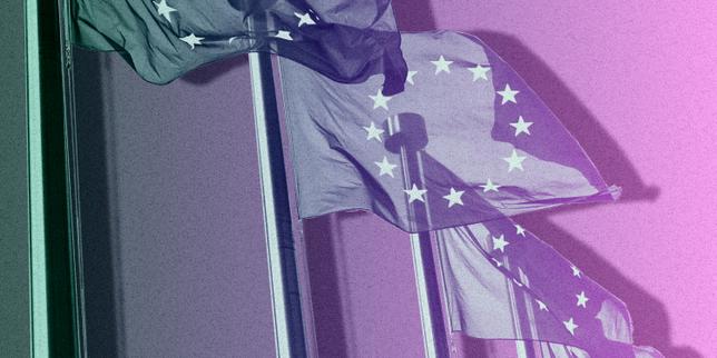 «-chercher-a-faire-baisser-le-prix-du-carbone-reviendrait-a-reviser-a-la-baisse-l’ambition-climatique-europeenne-»
