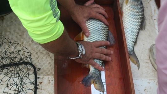 por-primera-vez-una-mujer-gana-la-fiesta-nacional-de-la-pesca-de-la-boga