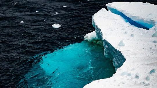 descubren-una-antigua-playa-bajo-el-hielo-de-la-antartida