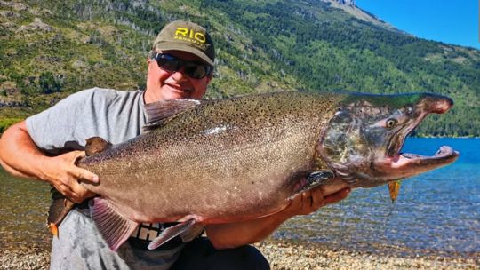 salmon-gigante-en-lago-puelo:-capturan-un-chinook-de-18-kilos