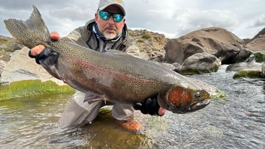 truchas:-grandes-trofeos-del-desierto-patagonico
