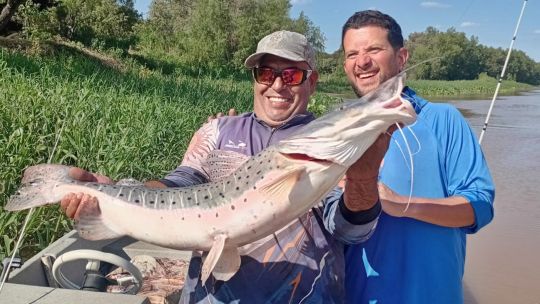 cayasta:-grandes-surubies-y-un-paraiso-de-pesca-sobre-el-parana