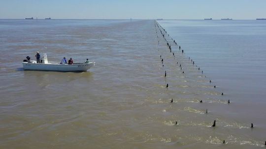 malecones-de-berisso:-la-historia-secreta-del-pesquero-top-de-bogas-en-el-rio-de-la-plata