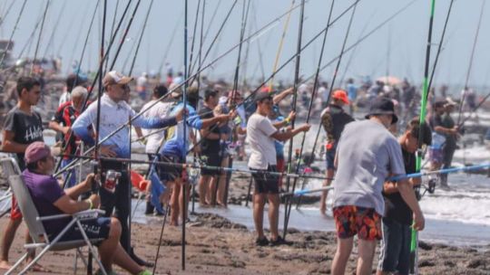 record-absoluto-en-claromeco:-6.148-pescadores-hicieron-historia-en-las-6-horas-a-la-corvina