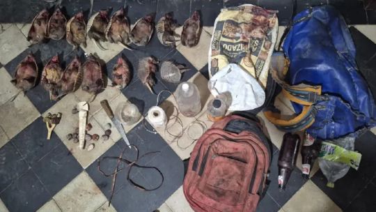detienen-a-cazadores-furtivos-con-15-quirquinchos-muertos-en-el-valle-de-uco