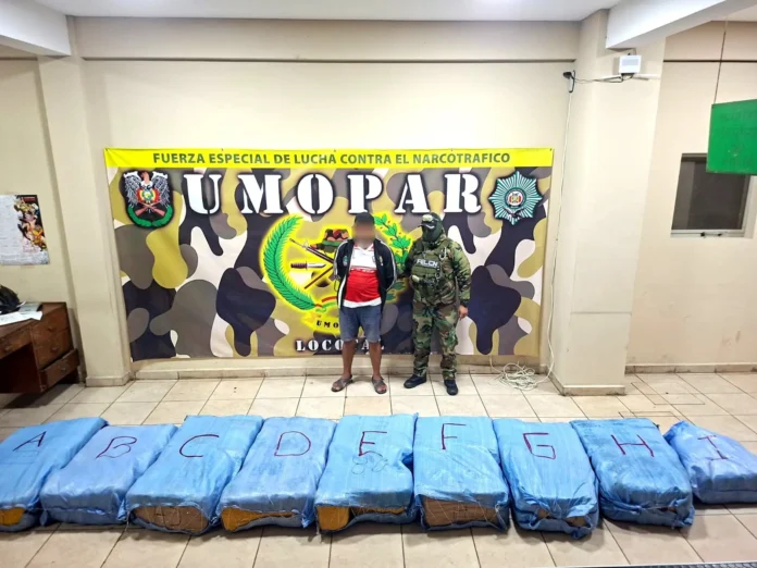 en-tres-departamentos-la-felcn-incauta-e-incinera-marihuana