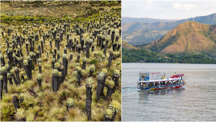 tolima-entra-al-‘top-5’-del-turismo-en-colombia:-estos-son-los-pueblos,-cascadas,-termales-y-rutas-coloniales-que-estan-atrayendo-a-millas-de-viajeros