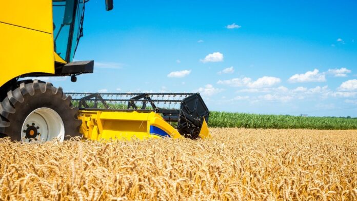 campo:-sin-retenciones,-argentina-podria-producir-251-millones-de-toneladas-de-granos-en-10-anos