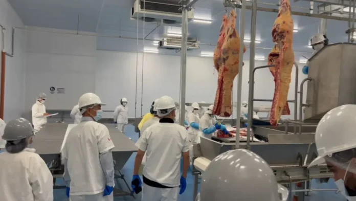 bolivia-entra-en-la-etapa-final-para-exportar-carne-bovina-y-lacteos-a-chile