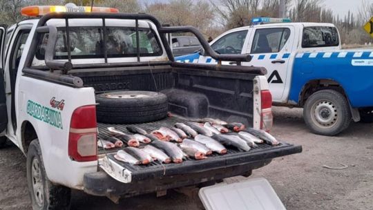 desbaratan-banda-de-furtivos-con-truchas-y-carne-de-ciervo-en-la-patagonia