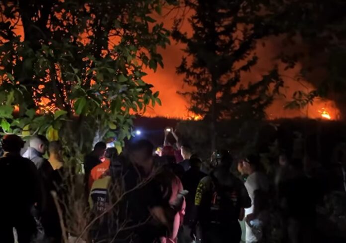 controlan-incendio-forestal-en-el-parque-nacional-henri-pittier