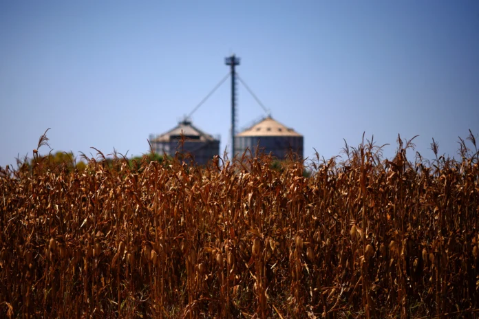 la-guerra-en-medio-oriente-reduce-los-costos-agricolas-de-brasil-en-todos-los-frentes