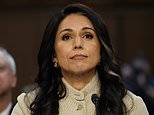 tulsi-gabbard-lets-iran-nuke-bombshell-slip-as-senate-hearing-spirals-for-trump’s-embattled-spy-chief