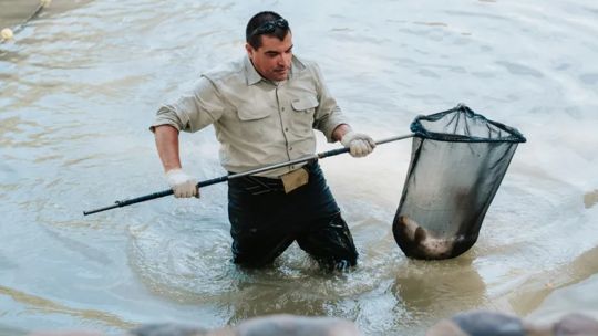 vacian-un-lago-en-san-juan-y-trasladan-a-mas-de-1.000-peces-en-un-operativo-inedito