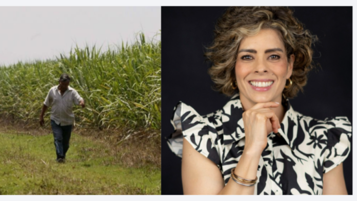procana-designa-a-una-nueva-directora-ejecutiva:-¿de-quien-se-trata-y-cuales-son-los-retos-que-enfrenta-esta-agremiacion-en-el-valle-del-cauca?