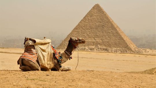 egipto-impone-un-nuevo-requisito-de-ingreso-para-los-argentinos