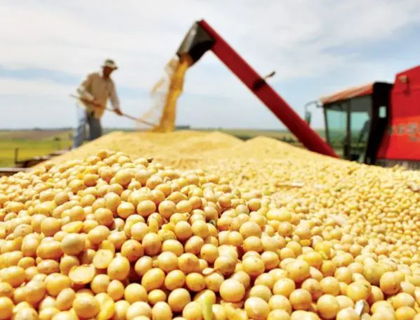 gobierno-abroga-decreto-de-arancel-cero-para-importar-de-grano-de-soja