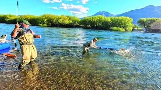 patagonia:-a-grandes-moscas,-grandes-truchas