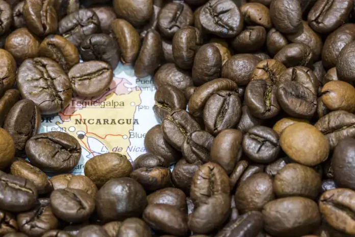 nicaragua-se-suma-a-ganancias-inesperadas-del-cafe-de-latam-de-$918-millones