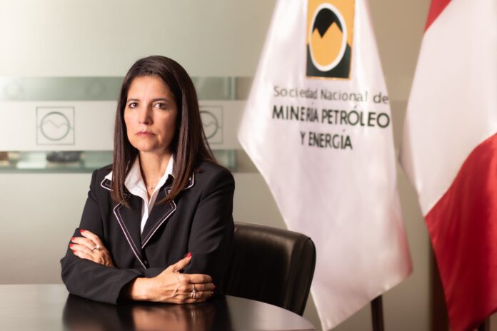 julia-torreblanca:-“lo-que-se-esta-haciendo-con-este-dictamen-es-matar-a-la-mineria-formal”