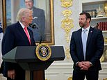 trump-reveals-if-he-backs-deal-with-democrats-to-fund-tsa-as-chaos-reaches-fever-pitch