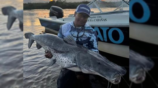 un-surubi-de-43-kilos-en-el-paraiso-correntino-que-no-deja-de-sorprender