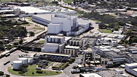 arcor-y-danone-toman-control-de-la-serenisima,-remodelando-el-mercado-lacteo-argentino