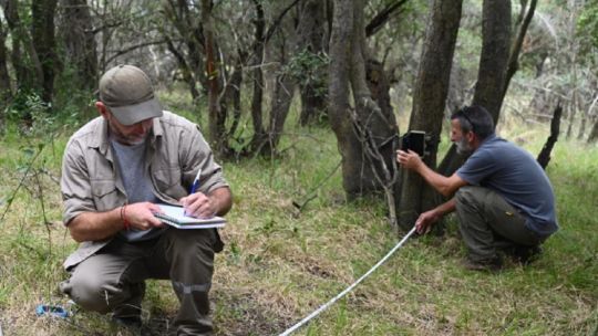 instalan-camaras-trampa-para-estudiar-y-proteger-a-la-fauna-en-la-reserva-natural-las-piedras