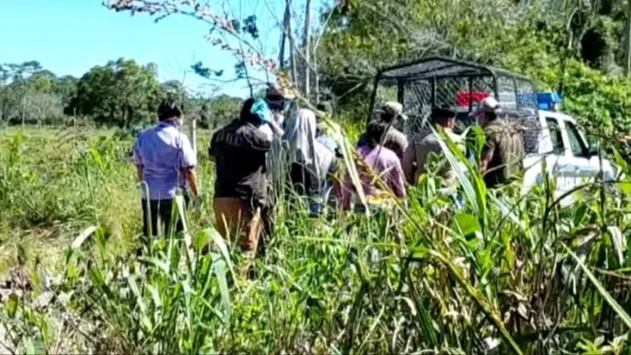 policia-presume-ajuste-de-cuentas-por-vinculos-con-el-narcotrafico-la-muerte-de-mujer-secuestrada