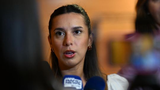 tribunal-brasileno-permite-regresar-a-casa-a-abogado-argentino-acusado-de-racismo