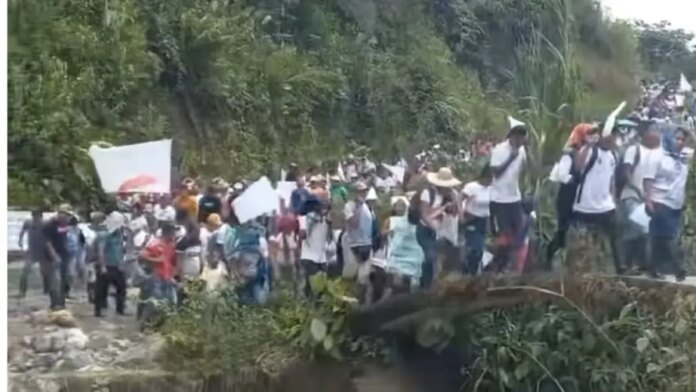 mas-de-200-familias-viven-un-‘viacrucis’,-tras-ser-desplazadas-por-grupos-armados-que-se-disputan-rutas-de-drogas-en-narino