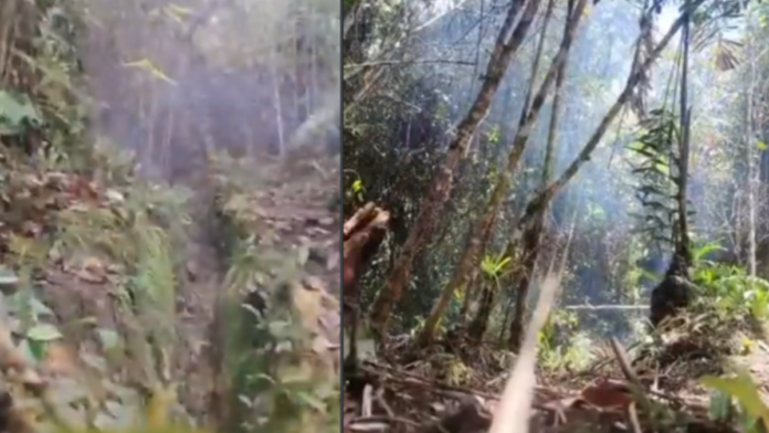 el-ejercito-evito-nuevos-atentados-del-eln-al-desactivar-ocho-explosivos-ocultos-cerca-de-un-camino-transitado-por-la-comunidad-de-anori,-antioquia.