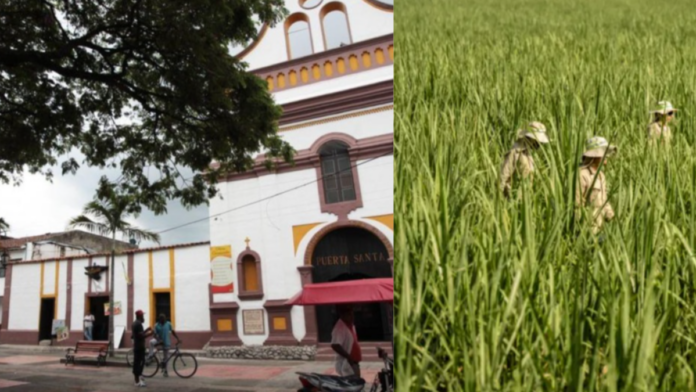 el-‘viacrucis’-de-unas-700-familias-de-valle-y-cauca-por-el-cierre-del-ingenio-azucarero-maria-luisa:-elevan-clamor-al-gobierno-por-crisis-economica