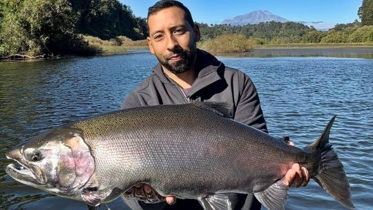 de-rutina-a-epico:-la-jornada-que-termino-con-un-salmon-gigante-en-chile